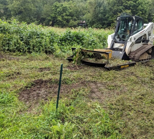 Land Clearing