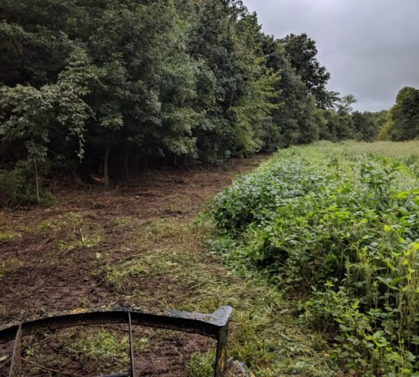 Brush Removal