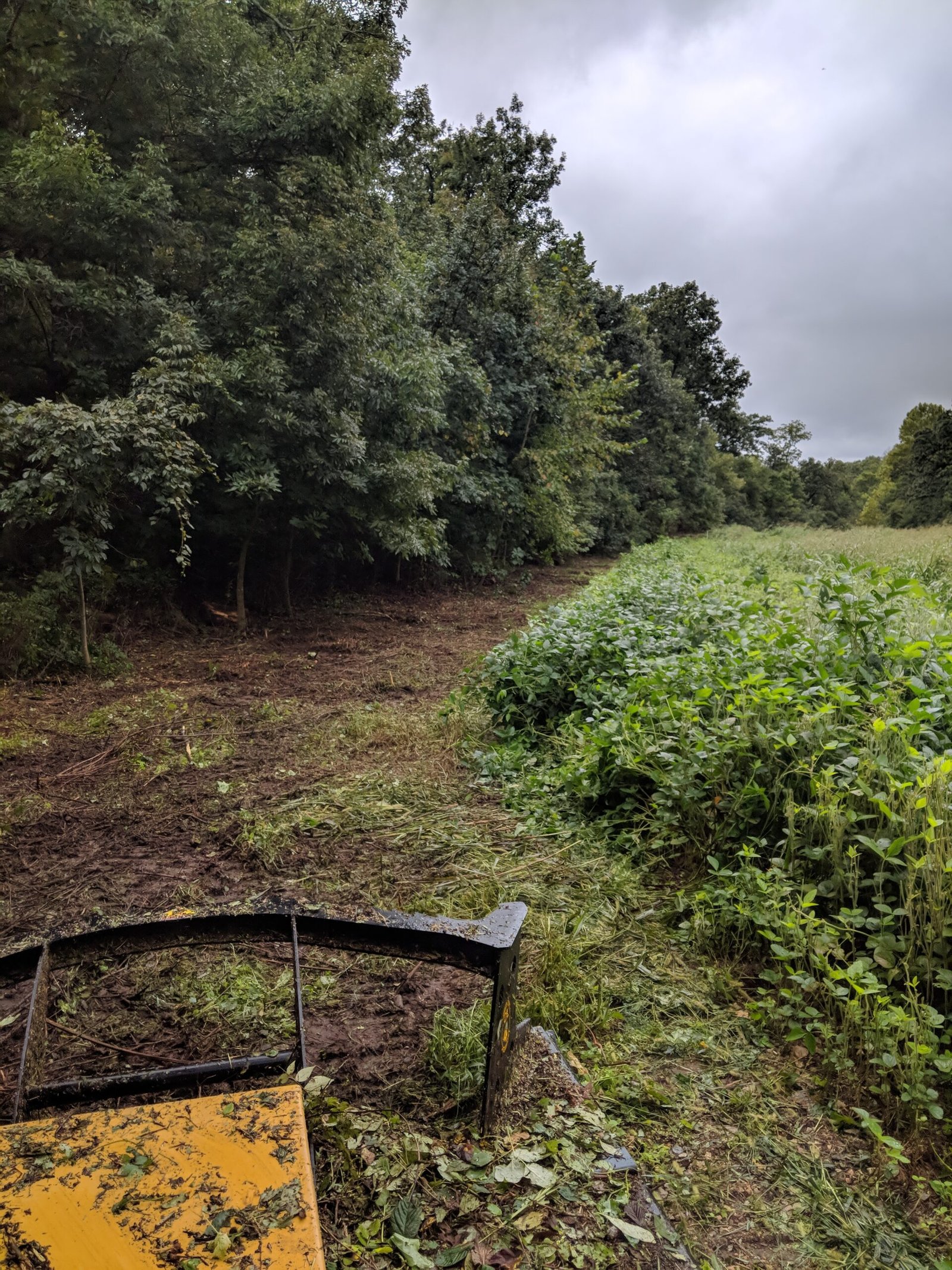 A yellow vehicle is clearing green brushes.