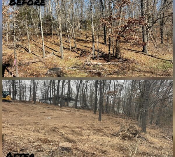 Before/After Land Transformation
