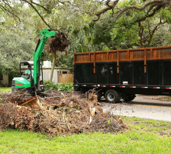 Debris Removal