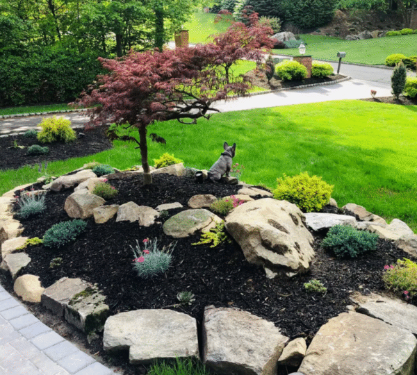Landscaping